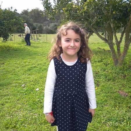 Agroturismo Sa Vall Son Macia  Bagian luar foto